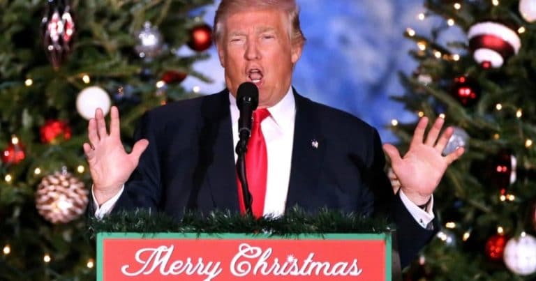Trump Admin Cuts Christmas Tree and Firewood Permits to $1, Saving Families Hundreds