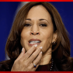 Minutes After Harris Finishes 1st Solo Interview – Critics Pile on with Brutal Response