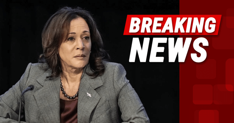 After Kamala Claims Trump Would “Terminate the Constitution,” She Gets Seriously Fact-Checked