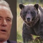 RFK Jr. Shares Wild Bear Story, Putting to Bed Decade-Old Central Park Mystery
