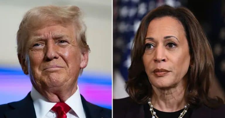 Trump Closes in on Kamala Harris in 2 Critical Swing States