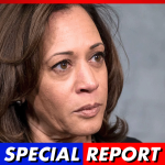 Kamala Harris Served Up 3 Concerning Polls as Convention Begins