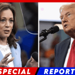 Kamala’s House of Cards Collapses: Trump Takes Lead in Stunning Poll Reversal
