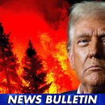 Trump Vows to Add Costs of Canadian Wildfire Smoke Pollution to Tariffs, Calls It ‘Willful Negligence’
