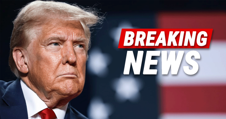 Trump Announces Largest Mass Deportation Program in History, Targeting Sanctuary Cities