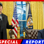 DOGE Refutes Reuters Report of Dissolution, Announces $335 Million in Contract Cuts Over Nine Days