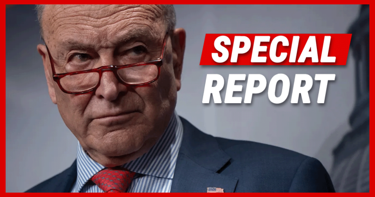Schumer Threatens Government Shutdown to Protect Illegals from Lawful ICE Raids