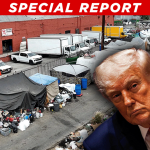 Trump Cuts Ties with Los Angeles Homeless Agency Over Obvious Fraud