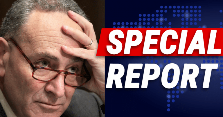 Hours After Schumer Demands 4 Senate Witnesses – His Clinton Closet Swings Wide Open