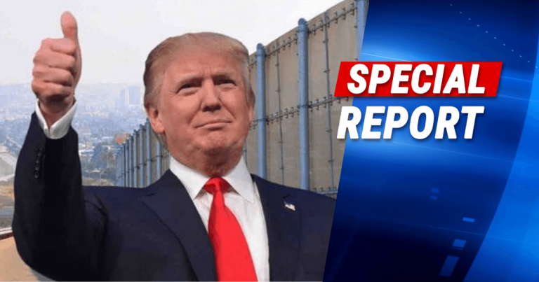 After Liberals Install “Border Seesaws,” Trump’s Patrol Ends Their Kumbaya Session