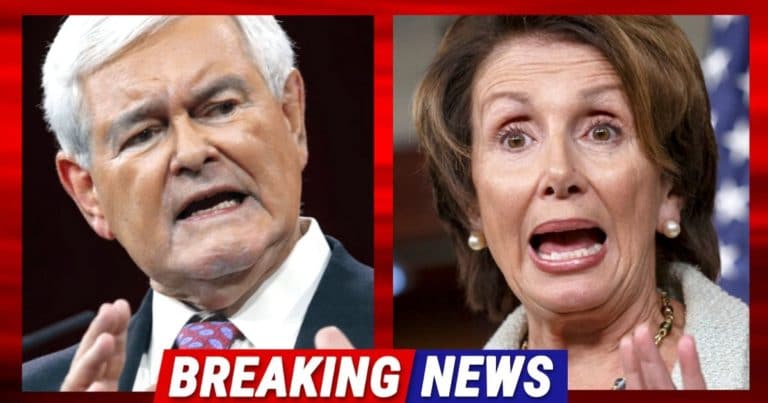 Newt Gingrich Says Jail Time Could Be Coming – He Claims Congress Leaders May Have Broken Multiple Laws