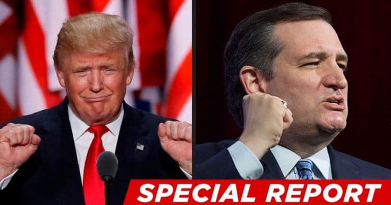 Ted Cruz Claims Trump Still Has A Path To Victory – But America Must Only “Count Every Single Legal Vote That Was Cast”