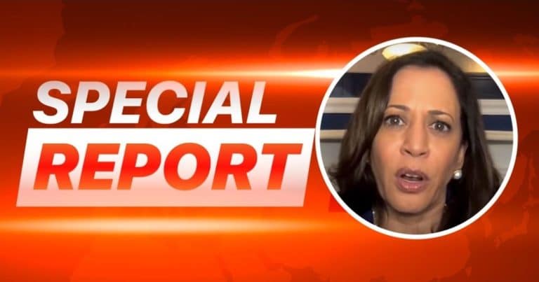 After Kamala Harris Refuses To Visit The Border – Republicans Troll Vice President With Milk Carton “Missing” Pic