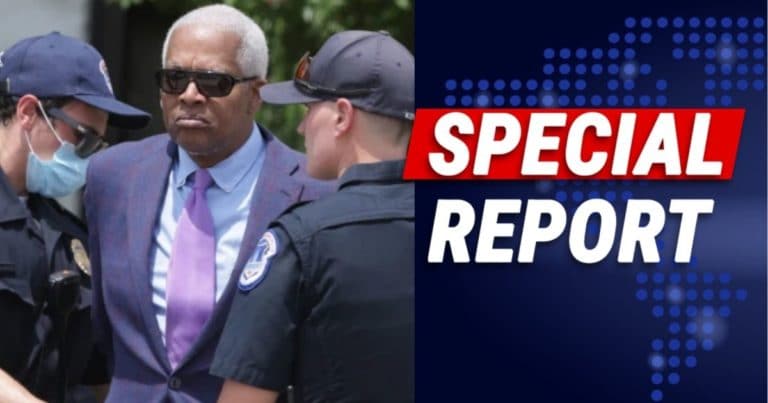 House Democrat Arrested By Capitol Police – Hank Johnson Led Away In Handcuffs After Protesting Voting Rights Law