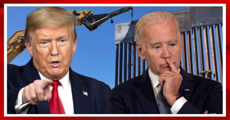 Trump’s Border Wall Finally Gets Boost from Biden’s DHS – But Donald’s ICE Chief Homan Claims Biden Move Is Just About the Midterms