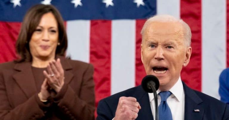 GOP Knocks Out 2 Democrats with 1 Stone – They Demand 1 Top Punishment for Biden/Harris
