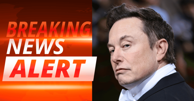Elon Musk Just Reported Back from the Border – What He Found There Is Totally Bonkers