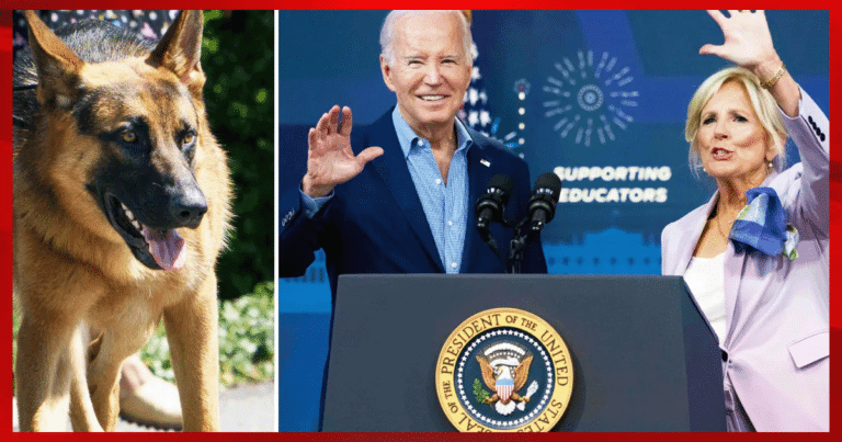 White House Scandal Erupts Over Biden’s Dog – Insane Report Exposed, Shocking Attacks Detailed