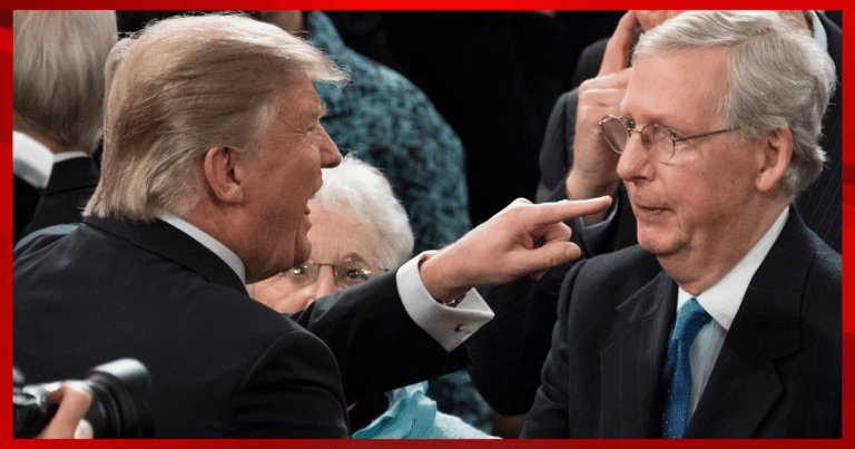 Trump Finally Responds to McConnell Freeze – Donald Gives the Old Turtle a Direct Order