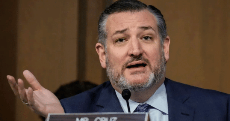 Ted Cruz Sounds Alarm on Democrat Plan to Secure Future Elections through Illegal Immigration