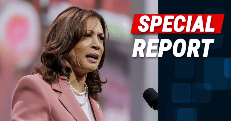 Hours After Kamala Announces Run – FEC Boss Gives Her Some Devastating News